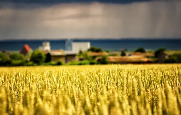 Море, золото, буря, церковь, storm, gold, sea, church