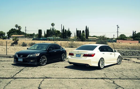 Картинка white, wheels, Honda, Accord, black, stance, Galpin, wossen