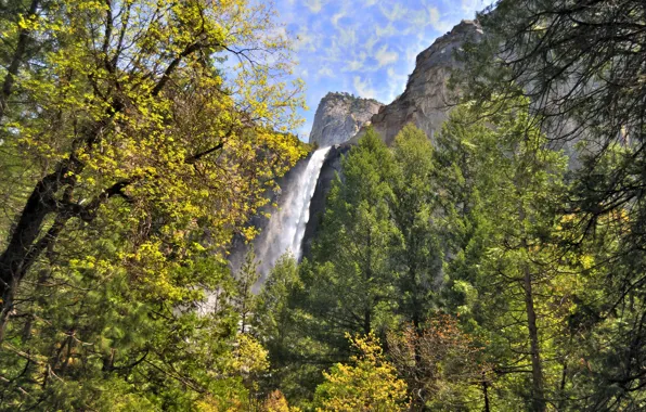 Деревья, горы, скалы, водопад, Калифорния, США, Национальный парк Йосемити, Yosemite National Park