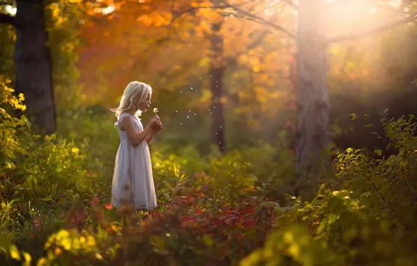 Картинка осень, лес, одуванчик, платье, девочка
