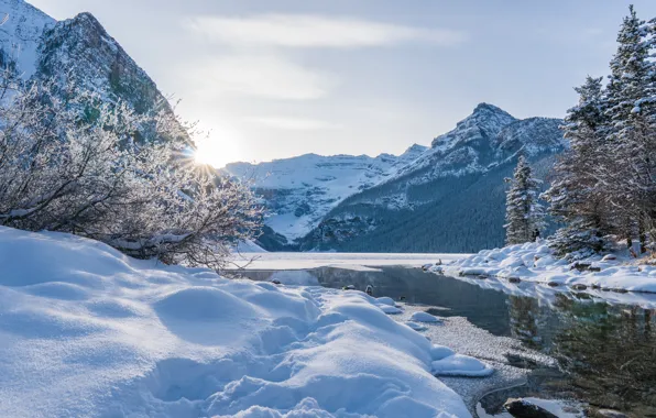 Картинка зима, снег, деревья, горы, озеро, Канада, сугробы, Альберта
