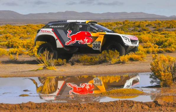Отражение, Спорт, Скорость, Гонка, Лужа, Peugeot, Фары, Red Bull
