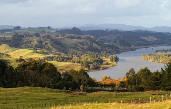 Картинка лес, пейзаж, природа, река, фото, Новая Зеландия, Waikato