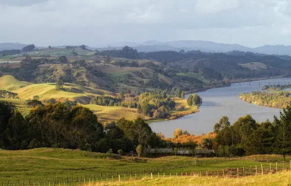 Лес, пейзаж, природа, река, фото, Новая Зеландия, Waikato