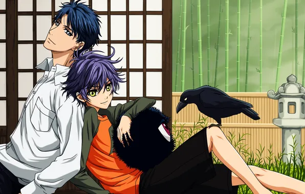 Глаз, мальчик, парень, ворон, Murasame, Inuzuka Shino, Inukawa Sousuke, Hakkenden