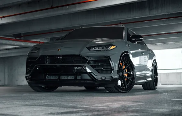 Lamborghini, Gray, SUV, Urus, VAG, Sight