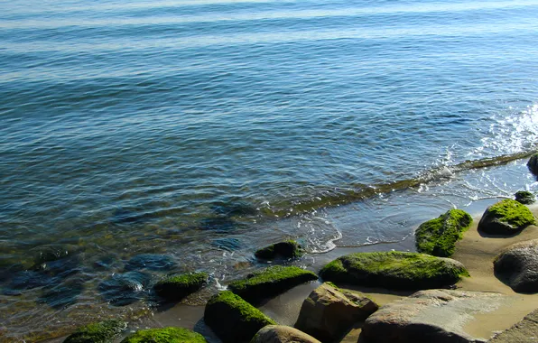 Beach, sea, ocean, water, stones