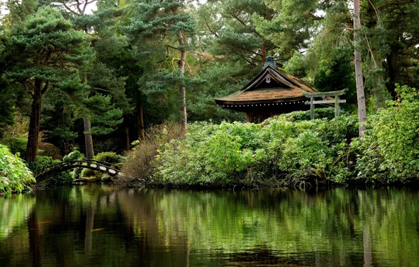 Картинка зелень, деревья, пруд, парк, Англия, мостик, беседка, Tatton Park