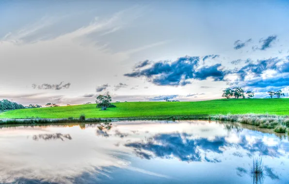 Картинка небо, трава, облака, деревья, озеро, отражение