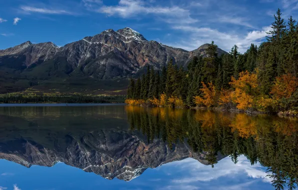 Картинка лес, деревья, горы, озеро, отражение, берег, Канада, Альберта