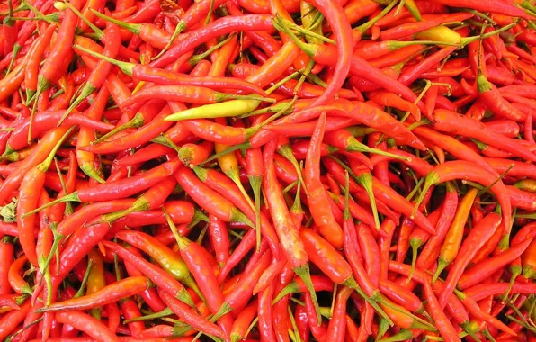 Картинка hot, food, pepper, vegetable, chili pepper