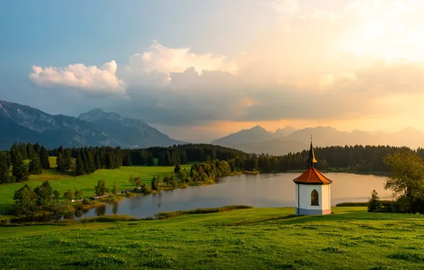 Картинка зелень, лес, лето, небо, трава, облака, свет, горы