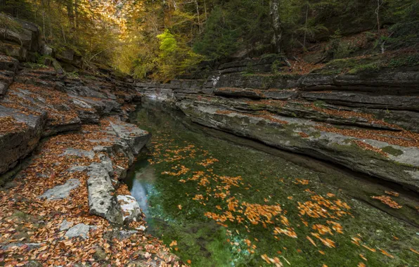 Осень, лес, скалы, берег, листва, водопад, поток, краски осени