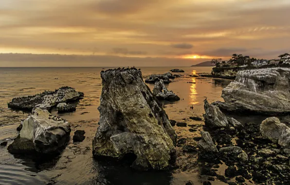 United States, Sunset, California, Pismo Beach