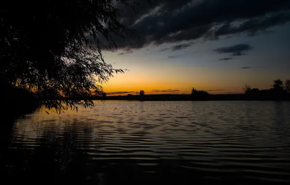 Закат, Вода, Дерево, Листья, Канал, Посёлок