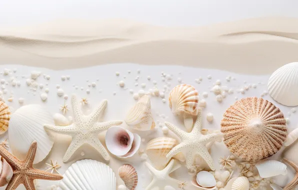 Песок, пляж, фон, ракушки, beach, texture, background, sand