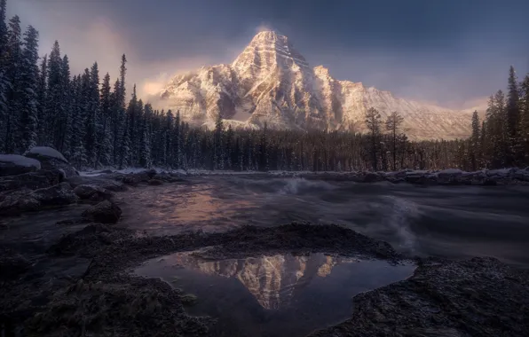 Лес, небо, горы, природа, отражение