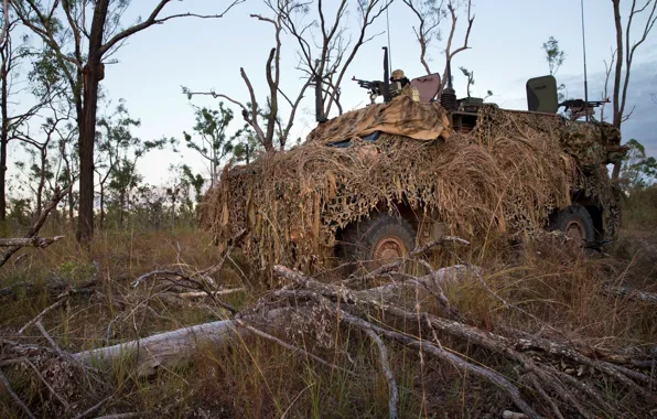 Картинка soldier, Australian Army, Blue Dog