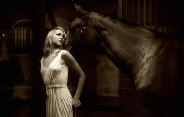 Картинка модель, лошадь, сепия, блондинка, Arielle Kebbel