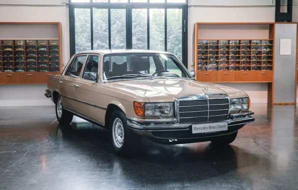 Mercedes benz, s-class, classic car, w116