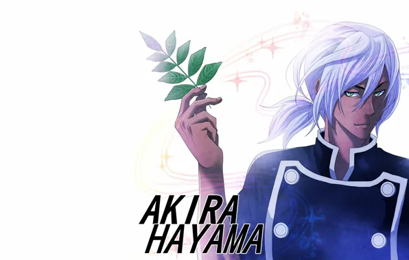 Парень, приправа, Shokugeki no Souma, В поисках божественного рецепта, Hayama Akira
