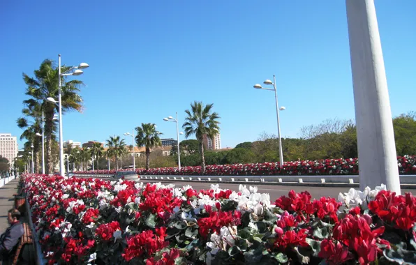 Spain, Valencia, Flores, Ponte
