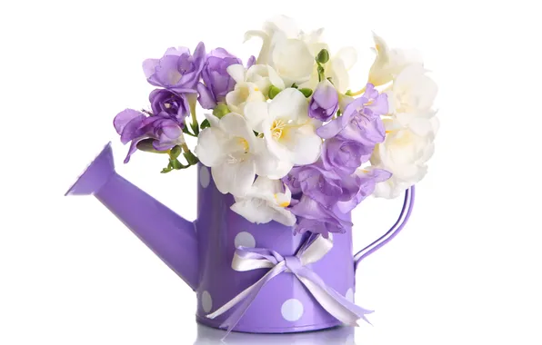 Картинка цветы, лейка, flowers, violet