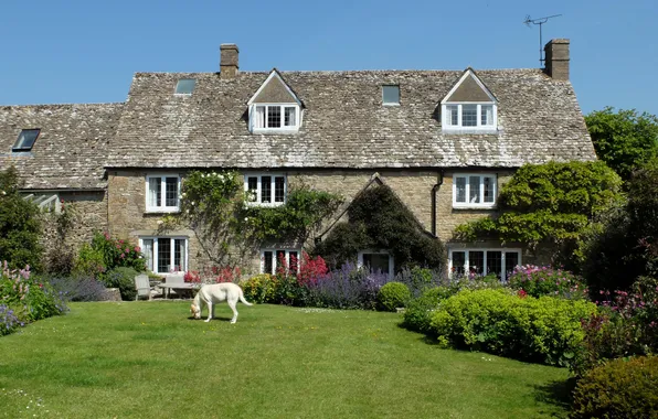 Картинка дом, газон, собака, сад, Великобритания, кусты, Cotswolds