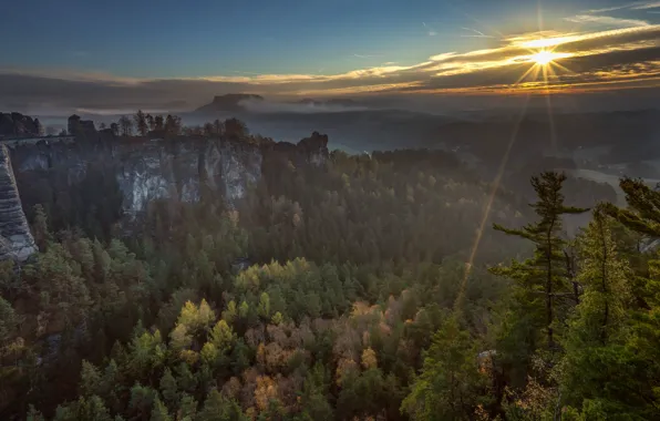 Осень, лес, небо, солнце, облака, лучи, свет, деревья