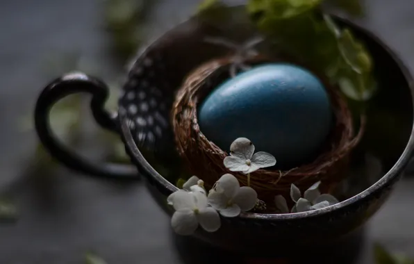 Картинка Яйцо, Пасха, Праздник