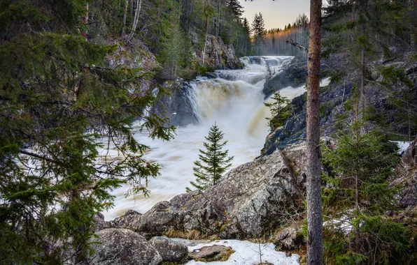 Forest, river, trees, waterfalls, stream