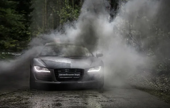 Car, машина, авто, лес, туман, дождь, ауди, audi