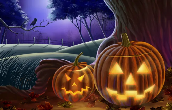 Сова, тыквы, хэллоуин, halloween