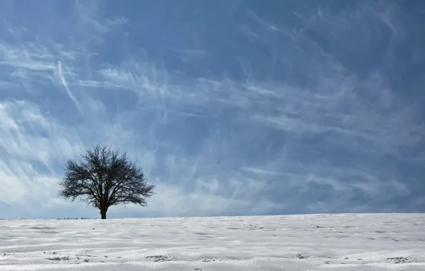 Картинка небо, снег, дерево, Азия, этногеографическая область, Курдистан