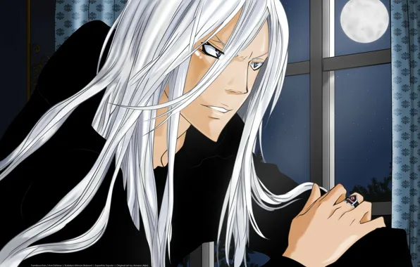 Луна, окно, перстень, белые волосы, art, katekyo hitman reborn, squalo superbi, amano akira