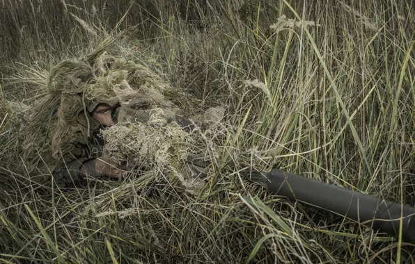 Картинка солдат, sniper, Canadian Armed Forces