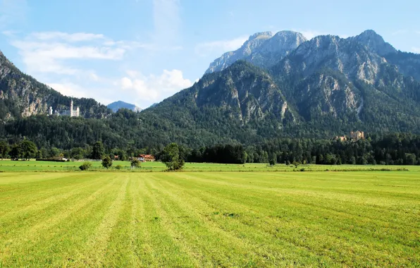 Картинка пейзаж, горы, природа, поля, Германия, замки, Schwangau