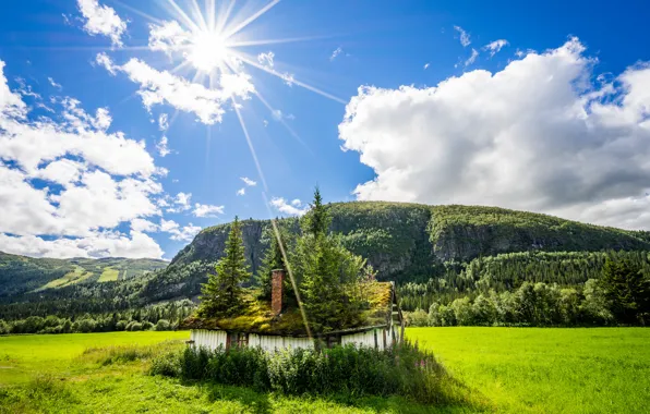 Поле, лето, свет, природа, дома