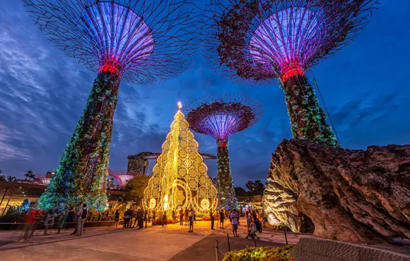 Дизайн, огни, парк, люди, вечер, Сингапур, Gardens by The Bay