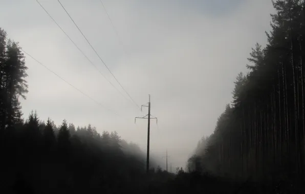 Лес, туман, утро, мгла, лэп