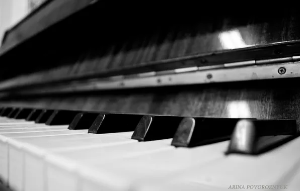 Картинка макро, клавиши, черно-белое, фортепиано, пианино