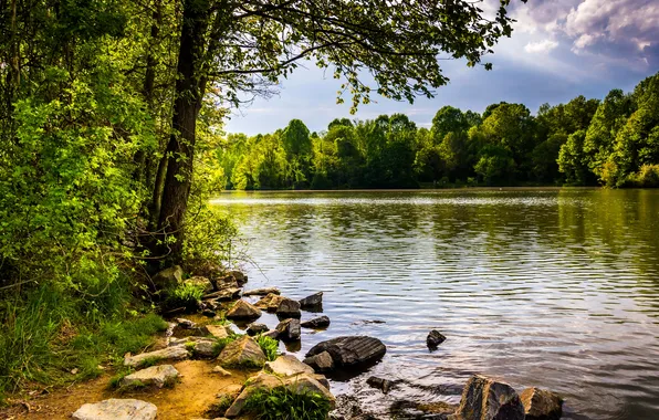 Картинка лес, деревья, озеро, камни, берег, США, Centennial Lake
