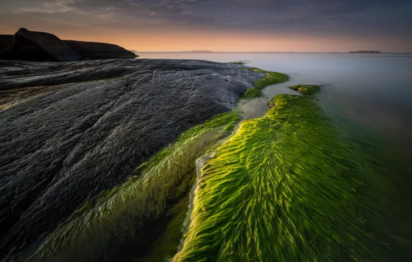 Картинка море, закат, берег