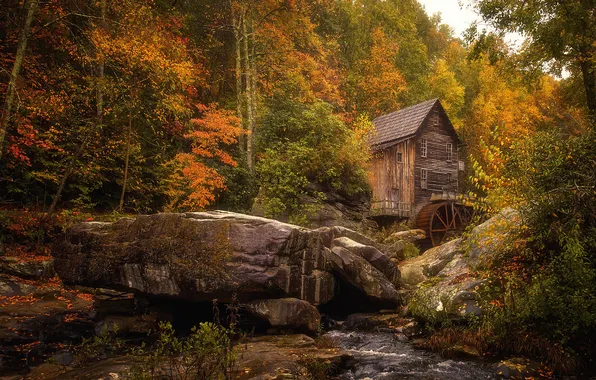 Осень, лес, водяная мельница