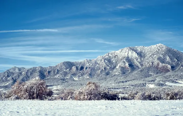 Снег, деревья, горы, Колорадо