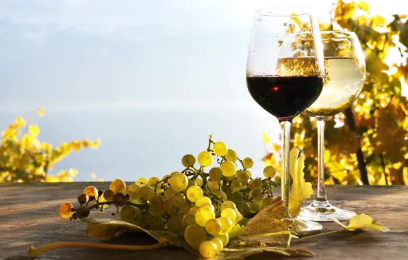 Картинка листья, стол, вино, красное, белое, виноград, виноградники