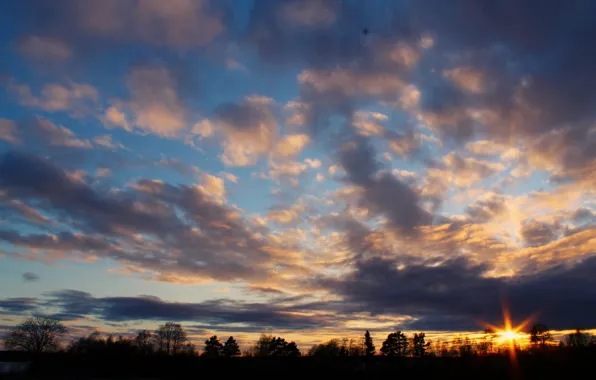 Картинка небо, солнце, облака, деревья, закат, горизонт