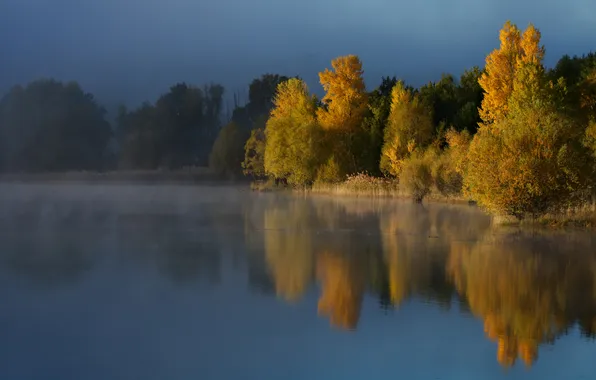 Осень, лес, свет, деревья, туман, озеро, отражение, синева