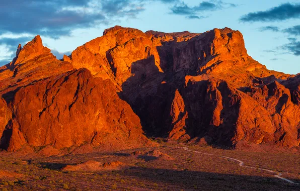 Аризона, США, Palm Canyon