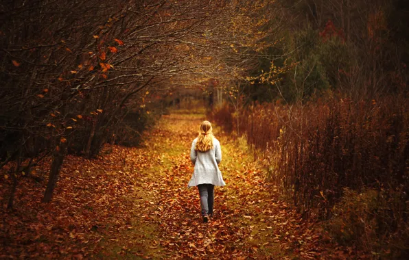 Листья, девушка, деревья, путь, спина, girl, trees, leaves